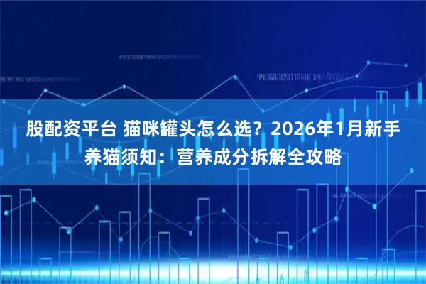 股配资平台 猫咪罐头怎么选?2026年1月新手养猫须知:营养成分拆解全攻略